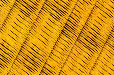 Yellow Abstract Diagonal Textile Texture Pattern Closeup Background With Re.. Foto stock