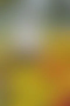 Yellow abstract smooth blur background Stock Photos