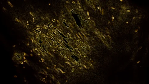 Yellow abstraction on a black background 库存影片 125702762