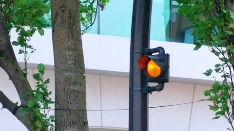Yellow Amber Traffic Light Lit on Pole Near Street Trees Stock Footage 345615083