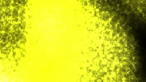Yellow and black motion background, glitch Stock-Footage 334840493