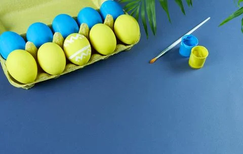 Yellow and blue Easter eggs packaged on a blue background. Stock Photos