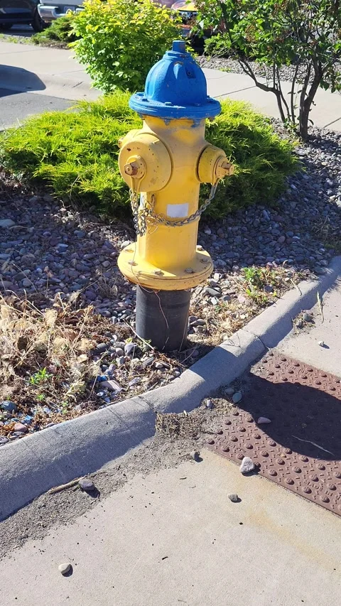 Yellow and blue fire hydrant on a parking lot curb Stock-Footage 338253753