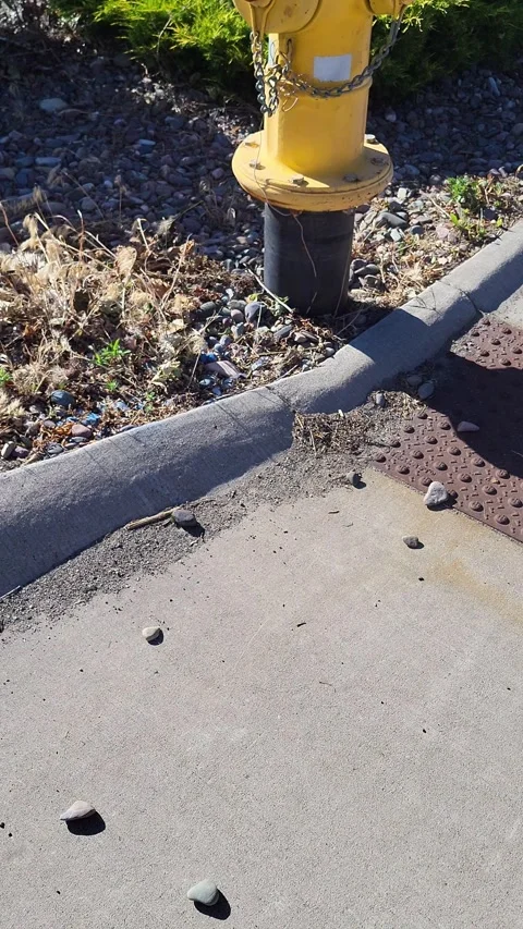 Yellow and blue fire hydrant on a parking lot curb Stock-Footage 338253773