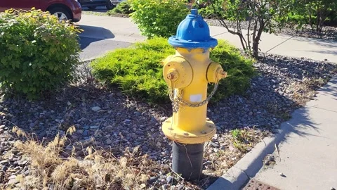 Yellow and blue fire hydrant on a parking lot curb Stock-Footage 338253815