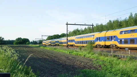 Yellow and blue train passing through countryside Stock-Footage 293943752