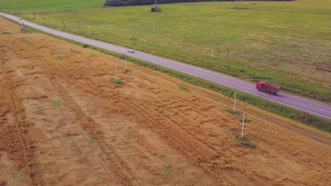 Yellow and green fields and road between them. Aerial shot of agriculture area 動画素材 85053605