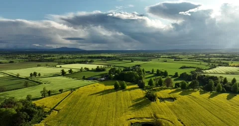 Yellow and green fields. Impressive rural landscapes of Ireland Stock Footage 241233111