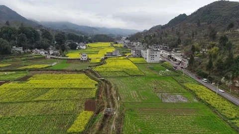 Yellow and Green Patchwork of Chinese Countryside Aerial Vídeo Stock 332191891