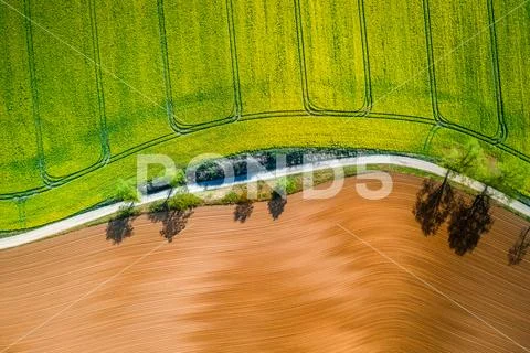 Yellow and green rape fields in the countryside, aerial view Stock Photos