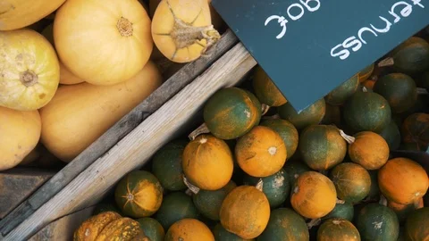 Yellow And Grey Pumpkins Stock Footage 97870202