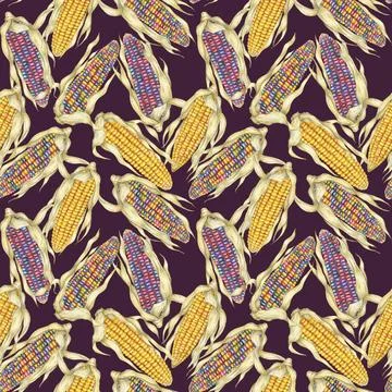 Yellow and indian corn dense seamless pattern, rainbow maize textile, background Illustration