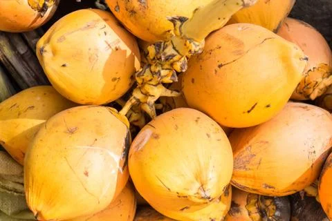 Yellow and orange coconuts Foto stock