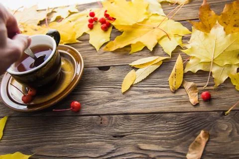 Yellow and orange fallen maple leaves on wooden background. Stock Photos