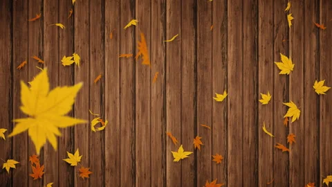 Yellow and orange maple leaves falling in front of a wooden fence Stock Footage 344150197