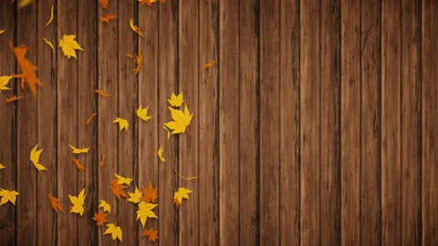 Yellow and orange maple leaves falling in front of a wooden fence Stock Footage 344150206