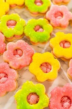 Yellow and Pink Easter Cookie Sandwiches Stock Photos