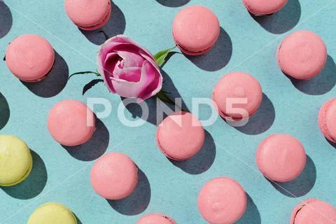 Yellow and pink vegan macaroons and rose bud knolled on pastel background Stock Photos