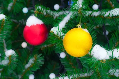 Yellow and red Christmas balls on fir branch in snow. Christmas background. Stock Photos