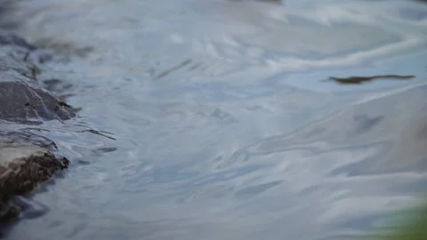 Yellow and red maple leaves fall into the water Video stock 119005251