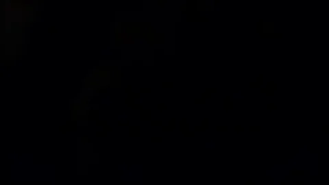 Yellow and red pumpkins Stock Footage 84230115