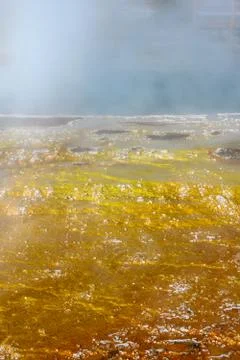 Yellow and White Bubbles Along Edge of Hot Spring 库存照片