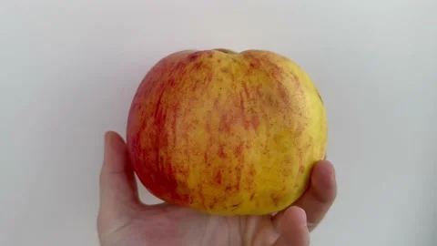 Yellow apple in hand Stock Footage 232324337