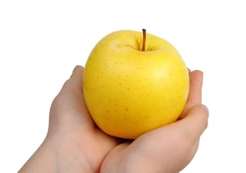 Yellow apple on hand Stock Photos