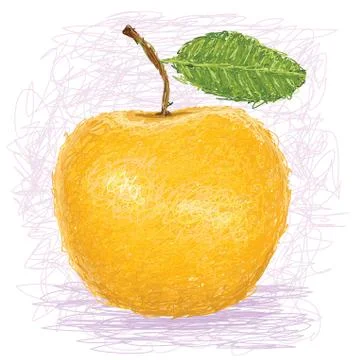 Yellow apple Stock Illustration