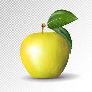 Yellow apple isolated on transparent background. Vector, 3D Illustrazione stock