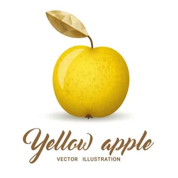 Yellow Apple vector illustration Stock Illustration