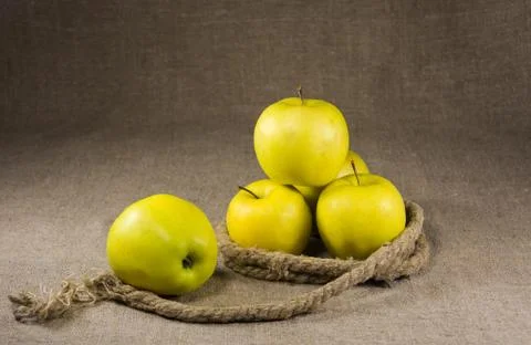 Yellow apples entwined rope Stock Photos