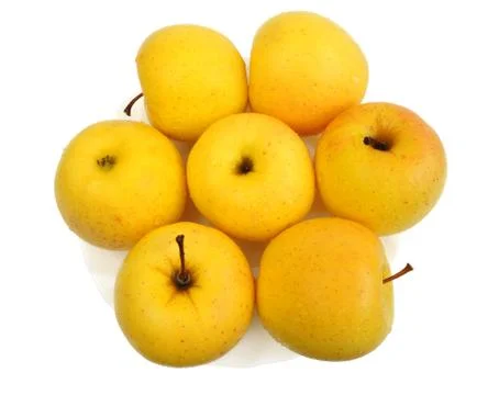 Yellow apples, isolated Stock Photos
