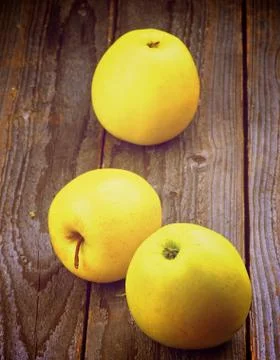 Yellow apples Stock Photos