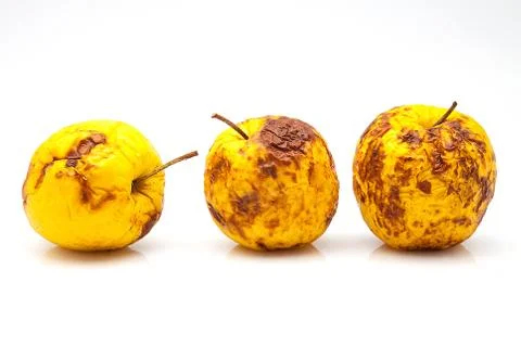 Yellow apples Stock Photos