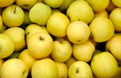 Yellow apples Stock Photos