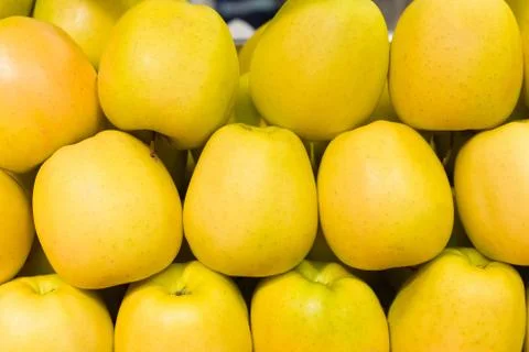 Yellow apples in rows Fotos Stock