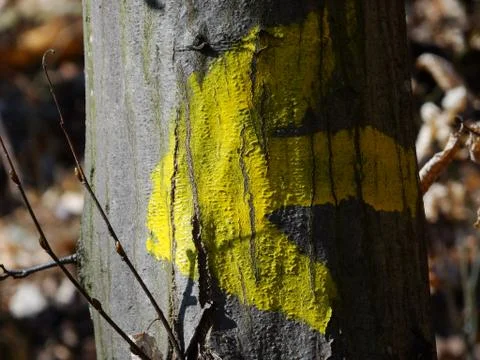Yellow arrow on trunk Stock Photos