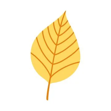 Yellow ash leaf isolated on white background. Simple autumn fall leaf for イラスト素材