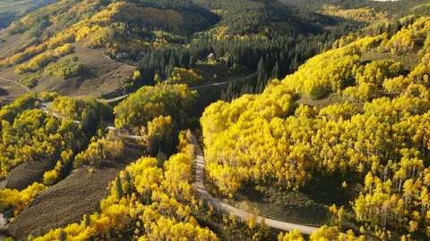 Yellow aspen forest in peak fall foliage at Crested Butte, Colorado, USA 스톡 동영상 314765155