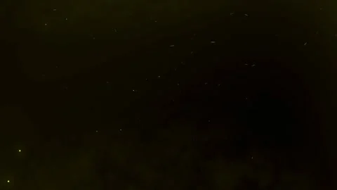 Yellow atmospheric falling particles Stock Footage 159533806