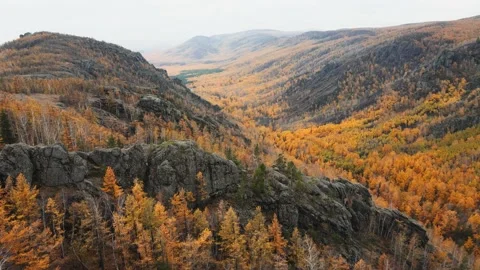 Yellow autumn forest in the mountains. Stock Footage 219326767