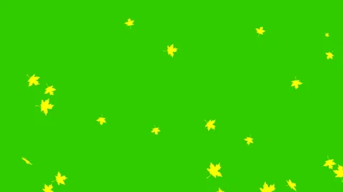 Yellow autumn leaf fall green Video stock 157963706
