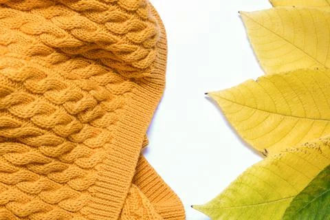 Yellow autumn leaves and knitted sweater as a fall background Stock Photos