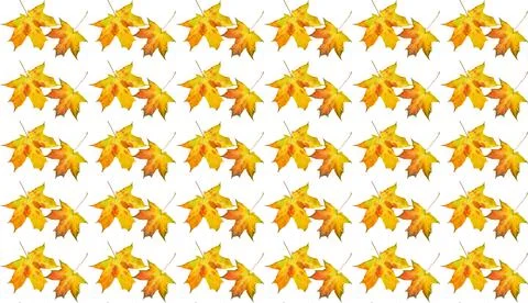 Yellow autumn leaves pattern for decoration Stock Illustration