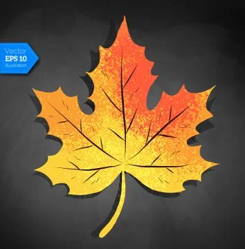 Yellow autumn maple leaf Stock Illustration