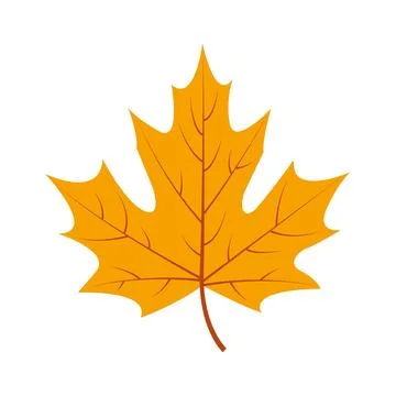 Yellow autumn maple leaf. Stock-Illustration