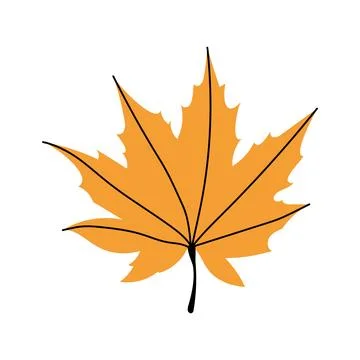 Yellow autumn maple leaf vector illustration isolated on white background fol Stock Illustration