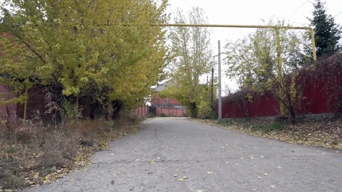 Yellow Autumn Trees Video stock 106754809