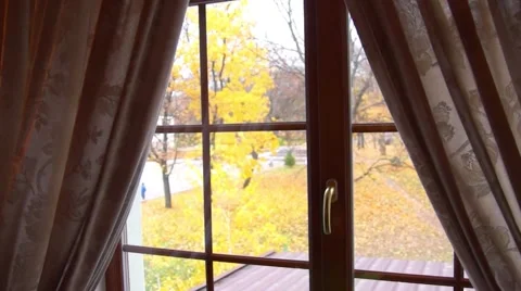 Yellow autumn trees outside the window. Video stock 48483298